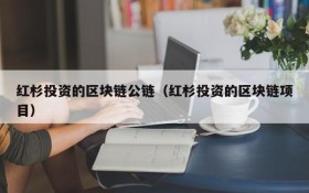 红杉投资的区块链公链(红杉投资的区块链项目)