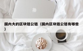 国内大的区块链公链(国内区块链公链有哪些)