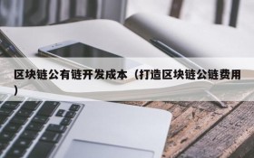 区块链公有链开发成本(打造区块链公链费用)