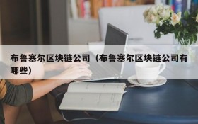 布鲁塞尔区块链公司(布鲁塞尔区块链公司有哪些)