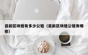 目前区块链有多少公链（目前区块链公链有哪些）