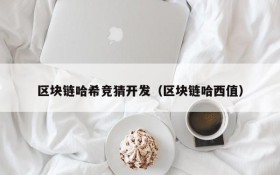 区块链哈希竞猜开发(区块链哈西值)