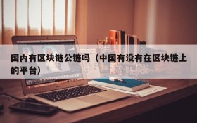 国内有区块链公链吗(中国有没有在区块链上的平台)
