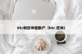 btc和区块链散户（btc 区块）