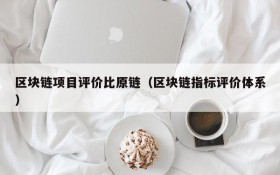 区块链项目评价比原链（区块链指标评价体系）