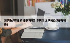 国内区块链公链有哪些(中国区块链公链有哪些)