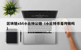 区块链xbt小比特公链(小比特币是传销吗)