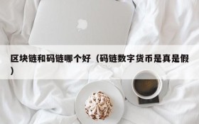 区块链和码链哪个好(码链数字货币是真是假)