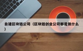 自建区块链公司(区块链创业公司都是做什么)