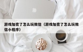 游戏加密了怎么玩微信(游戏加密了怎么玩微信小程序)