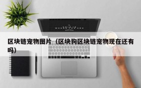 区块链宠物图片(区块狗区块链宠物现在还有吗)