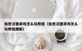 加密汉堡游戏怎么玩教程(加密汉堡游戏怎么玩教程图解)