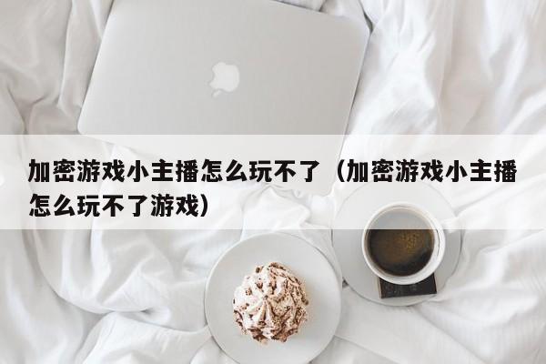 加密游戏小主播怎么玩不了（加密游戏小主播怎么玩不了游戏）