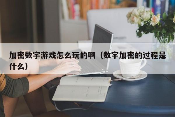 加密数字游戏怎么玩的啊（数字加密的过程是什么）