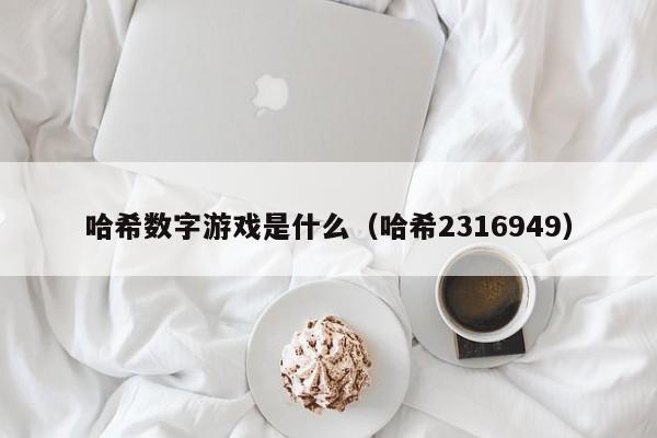 哈希数字游戏是什么（哈希2316949）
