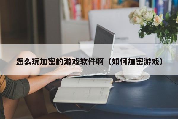 怎么玩加密的游戏软件啊（如何加密游戏）