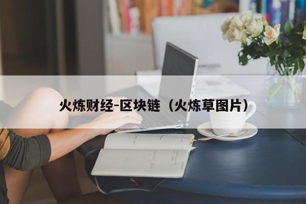 火炼财经-区块链（火炼草图片）