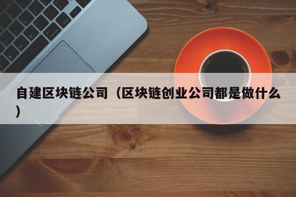 自建区块链公司（区块链创业公司都是做什么）