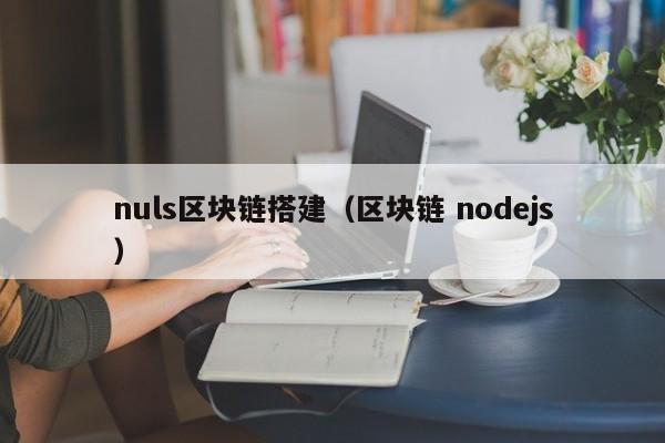 nuls区块链搭建（区块链 nodejs）