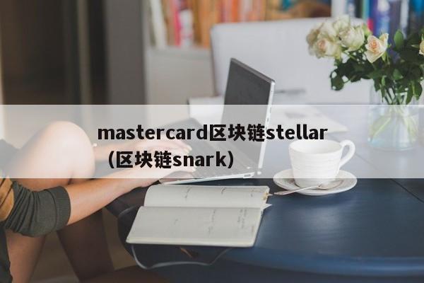 mastercard区块链stellar（区块链snark）
