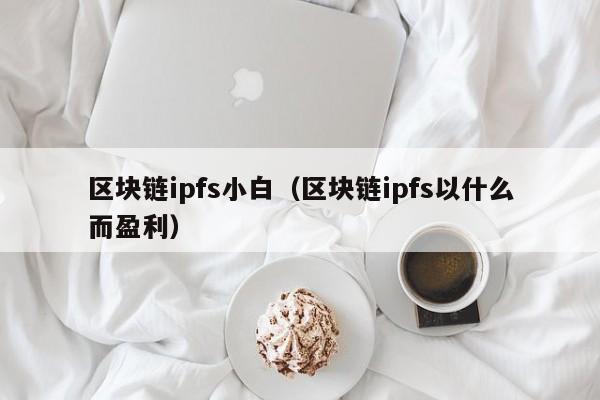 区块链ipfs小白（区块链ipfs以什么而盈利）
