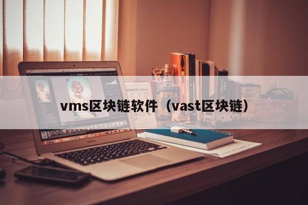 vms区块链软件（vast区块链）