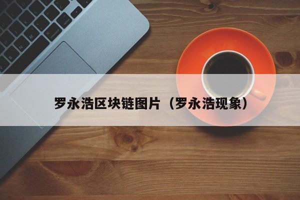 罗永浩区块链图片（罗永浩现象）