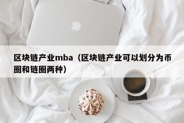 区块链产业mba（区块链产业可以划分为币圈和链圈两种）