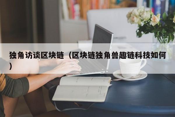 独角访谈区块链（区块链独角兽趣链科技如何）