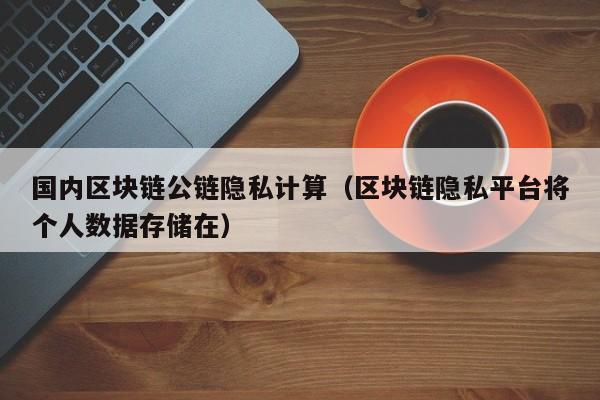 国内区块链公链隐私计算（区块链隐私平台将个人数据存储在）