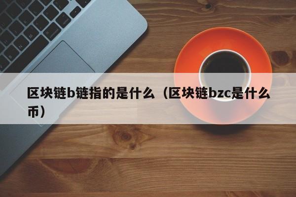 区块链b链指的是什么（区块链bzc是什么币）