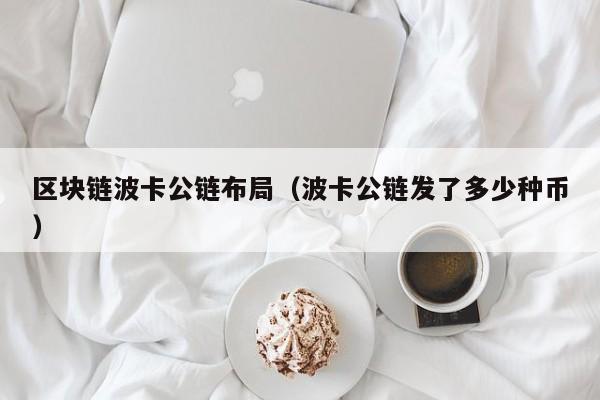 区块链波卡公链布局（波卡公链发了多少种币）