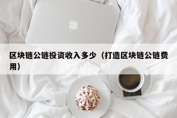 区块链公链投资收入多少（打造区块链公链费用）