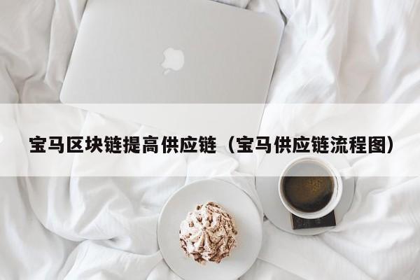 宝马区块链提高供应链（宝马供应链流程图）