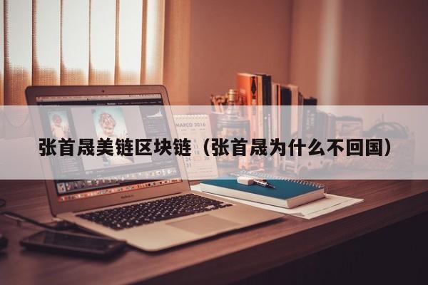 张首晟美链区块链（张首晟为什么不回国）