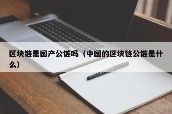 区块链是国产公链吗（中国的区块链公链是什么）