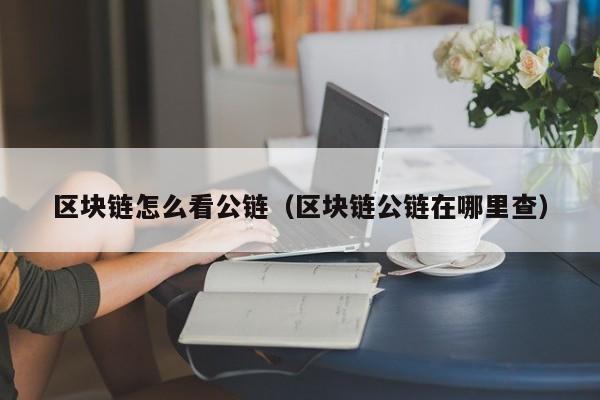区块链怎么看公链（区块链公链在哪里查）
