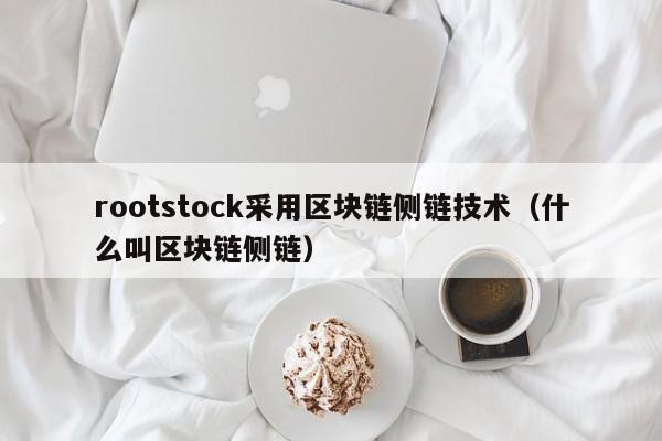 rootstock采用区块链侧链技术（什么叫区块链侧链）