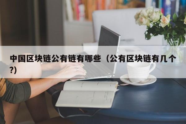 中国区块链公有链有哪些（公有区块链有几个?）