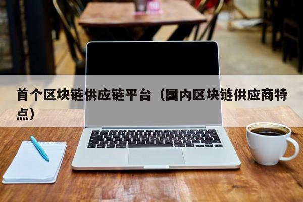 首个区块链供应链平台（国内区块链供应商特点）