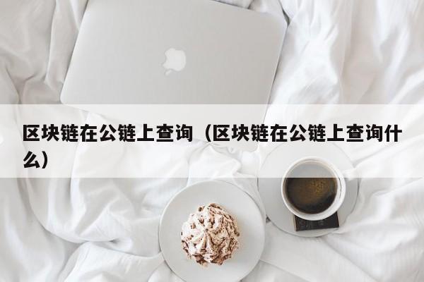 区块链在公链上查询（区块链在公链上查询什么）