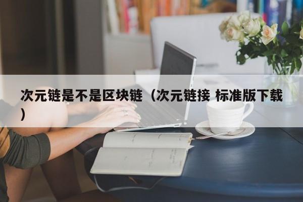 次元链是不是区块链（次元链接 标准版下载）