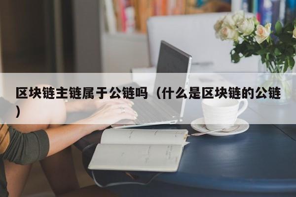 区块链主链属于公链吗（什么是区块链的公链）
