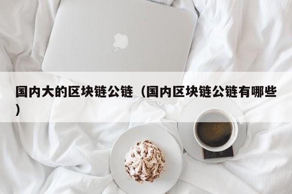 国内大的区块链公链（国内区块链公链有哪些）
