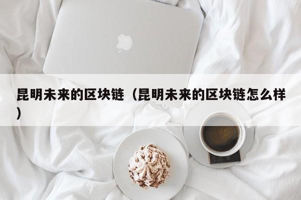 昆明未来的区块链（昆明未来的区块链怎么样）