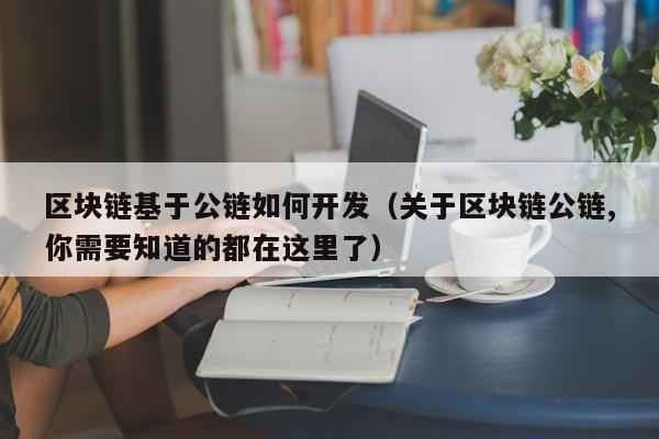 区块链基于公链如何开发（关于区块链公链,你需要知道的都在这里了）