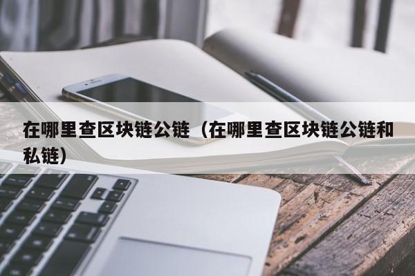 在哪里查区块链公链（在哪里查区块链公链和私链）